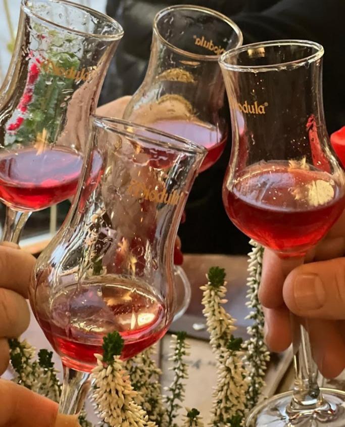 Rezydencja Bialy Jar Karpacz Dış mekan fotoğraf